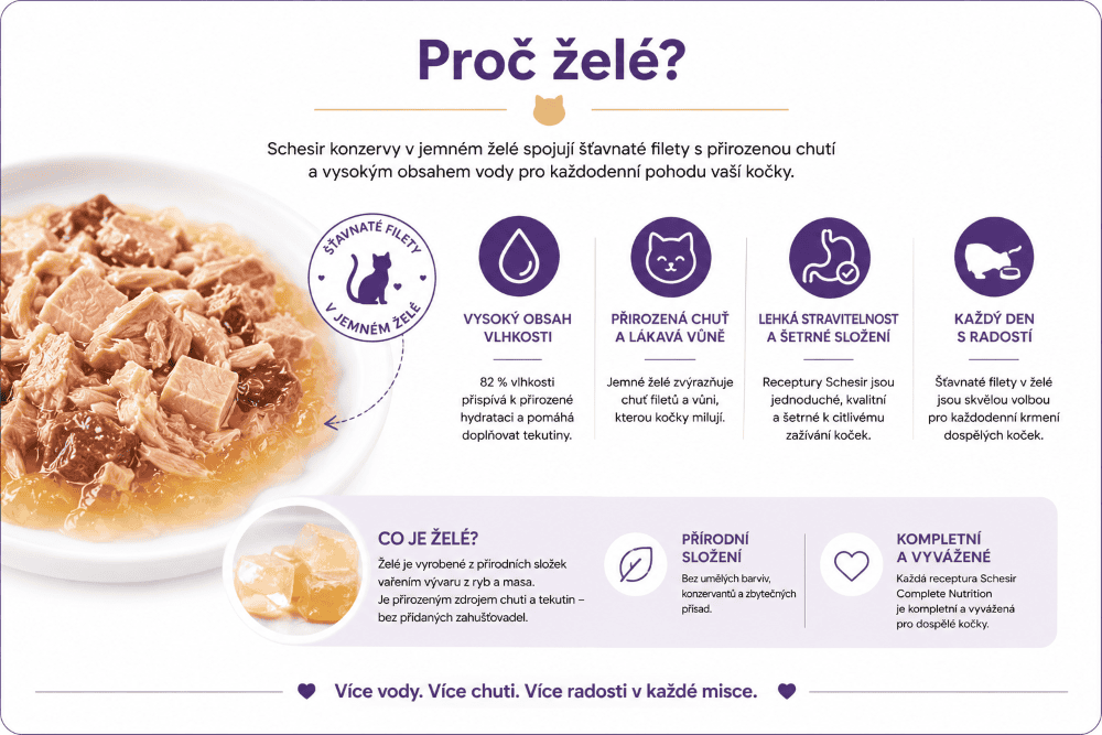 Proč želé Výhody pro kočky